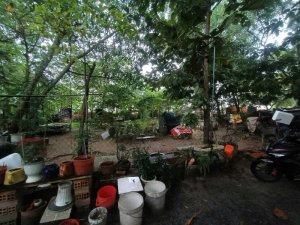 Đất Vuông sổ hồng riêng hẻm xe hơi 300m2 Tân Hiệp 4 Hóc Môn
