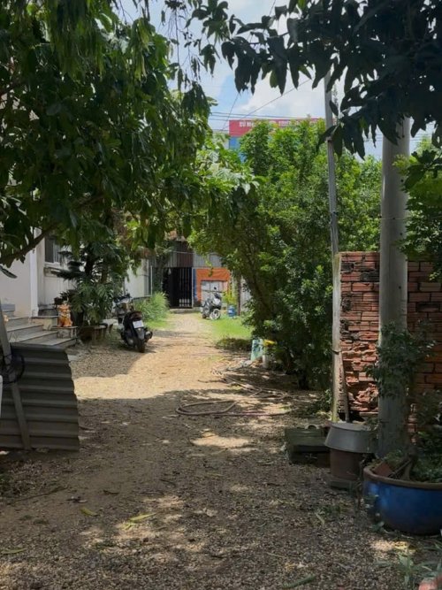 Đất MT sổ hồng riêng Đ.24m 2833m2, nở hậu nhẹ Nguyễn Ảnh Thủ Hóc Môn