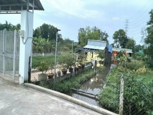 Đất Vuông SHR HXH 2798m2 Đông Thạnh 2 Hóc Môn