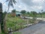 Đất Vuông SHR HXH 2798m2 Đông Thạnh 2 Hóc Môn