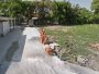 L1617 3 lô đất gần B.Viện Đa Khoa Hóc Môn, sổ hồng riêng, HXT, 4x15m, 2.x tỷ