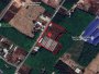 O1768 cho thuê Trang trại Lai Hưng 119 Bình Dương, 1.25Ha, 20tr/TH