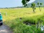 T1885 1873m2 đất Long Mỹ Bà Rịa - Vũng Tàu, sổ hồng riêng, hẻm xe hơi, 8.x tỷ