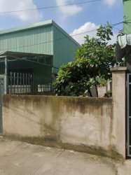 L1911 đất mặt tiền Thạnh Xuân 43 Q12, SHR, Vuông, 4.5x15.3m, 4.x tỷ