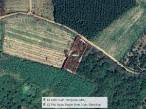 K1922 đất Phú Ngọc Đồng Nai, SHR, Vuông, HXH, 19.5x53m, 0.8 tỷ