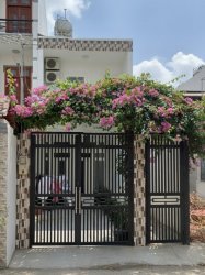 D1925 Giảm 100tr! nhà MT Tân Thới Hiệp 9 Q12, SHR, Vuông, 4x25m, 6.x tỷ