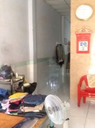 D2045 nhà Đông Hưng Thuận 42 Q12, SHR, Vuông, hẻm xe hơi, 4x16m, 4.x tỷ x nhỏ
