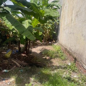 [T2209] đất đẹp 71m2 Thạnh Lộc 47 - Tiện ích đầy đủ, xây ở ngay
