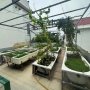 D2302 Cần Tiền Gấp Bán Rẻ Nhà 4T Lê Đức Thọ Gò Vấp Ngang 5.2m Giá 8.x Tỷ