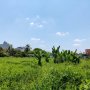 [K2353*] Đất Thổ cư D.Tích Lớn 591M2 sổ hồng riêng - PL An Tâm 100%!
