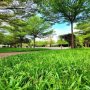[D2344] Mua mới xây Tinh dọn vào ở ngay KDC cao cấp Đặng Thùy Trâm!