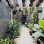 H2434 NHU CẦU tìm nhà có sân vườn rộng để chill tại trung tâm?