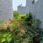[KH009*] CƠ HỘI VÀNG: 480M2 nở hậu KHỦNG AN PHÚ ĐÔNG - CHỈ 11.x TỶ