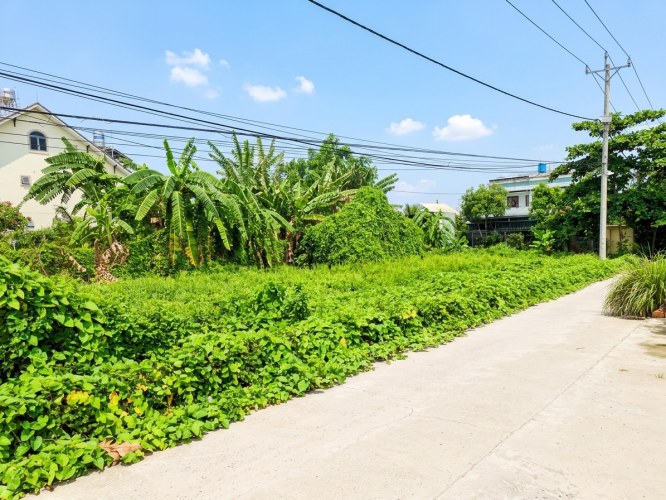 [O2510] 800m2 đất 1/ Vườn Lài sát Gò Vấp giá 37.x tỷ