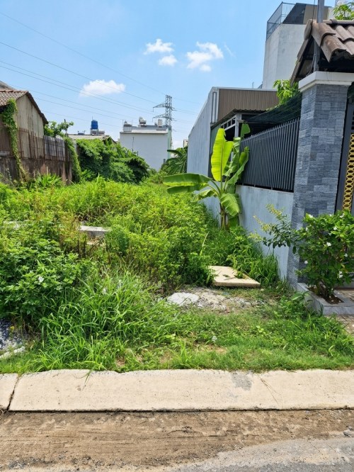 [O2522*] Cơ Hội đầu tư Đất An Phú Đông Đ. 10m Thông, Giá 5.x Tỷ Thương Lượng