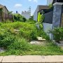 [O2522*] Cơ Hội đầu tư Đất An Phú Đông Đ. 10m Thông, Giá 5.x Tỷ Thương Lượng