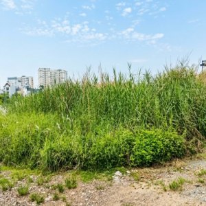 [T2537*] hàng hiếm 2 mặt thoáng 118M2 TÔ NGỌC VÂN GÒ VẤP, Đường THÔNG 5M, GIÁ 7.X TỶ