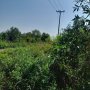 [T2645*] Quỹ đất khủng 1.12Ha Đường Thanh Niên gần Vành Đai 3, 78.x tỷ