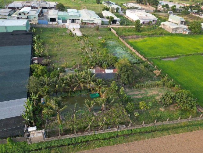 [H2644*] Đất biệt phủ xưởng 6362m2 MT Xuân Thới Sơn 6, giá 5x tỷ