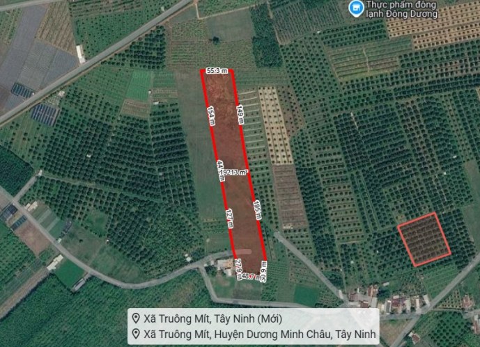 [L2682*] Qũy Đất 1.8Ha Chuyên Trồng Sầu Riêng sát Chợ Truông Mít - 5.x Tỷ