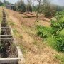 [L2682*] Qũy Đất 1.8Ha Chuyên Trồng Sầu Riêng sát Chợ Truông Mít - 5.x Tỷ