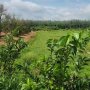 [L2682*] Qũy Đất 1.8Ha Chuyên Trồng Sầu Riêng sát Chợ Truông Mít - 5.x Tỷ