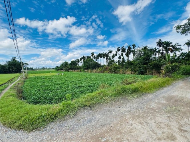 [D2707] Cơ hội sở hữu 4819m2 view sông Thạnh Xuân 33 - Giá 29.x tỷ