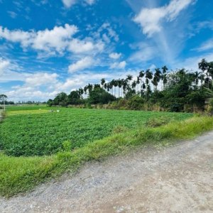 [D2707] Cơ hội sở hữu 4819m2 view sông Thạnh Xuân 33 - Giá 29.x tỷ