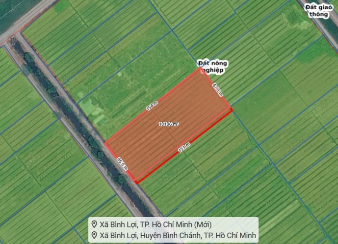 [T2733] Mua Đất Tụ Tài 1Ha Bình Chánh Ngang 65m Giá 2x Tỷ