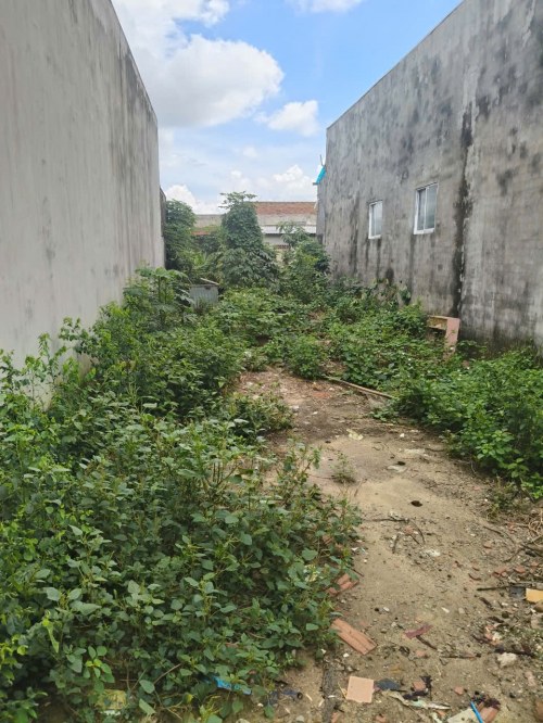 [K2822*] Bán đất trống full T.Cư 117m² sát khu công nghiệp Đức Hòa Đông, giá 1.x tỷ