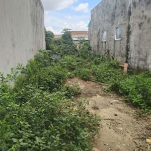 [K2822*] Bán đất trống full T.Cư 117m² sát khu công nghiệp Đức Hòa Đông, giá 1.x tỷ
