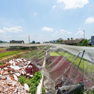 [DD109*] Đất lô góc giá tốt Nhất sát Sân Cầu Lông 2.x Tỷ