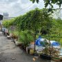 [H5897] Đất trống xây mới lô góc Cầu Bến Phân - Chỉ 3.x tỷ