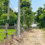 O2919* Đất Vuông A4 Rẻ Hơn Giá Nhà Nước Kênh Trung Ương 22.x Tỷ