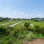 L2977* ĐẤT CỦ CHI RỘNG 2680M2 QUY HOẠCH ONT GIÁ CHỈ 10.X TỶ
