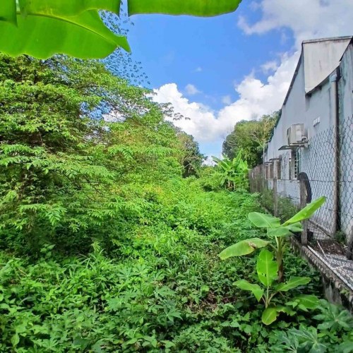 [K2976*] Đất MT 14m Tỉnh Lộ 7 An Nhơn Tây Củ Chi 1411m2 lô đất vuông, Giá 9.x Tỷ