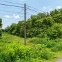 [T2975*] Đất Làm Nhà Vườn 675m2 Đường Nhựa 6m Thông Nhuận Đức Củ Chi, Giá 2.x Tỷ