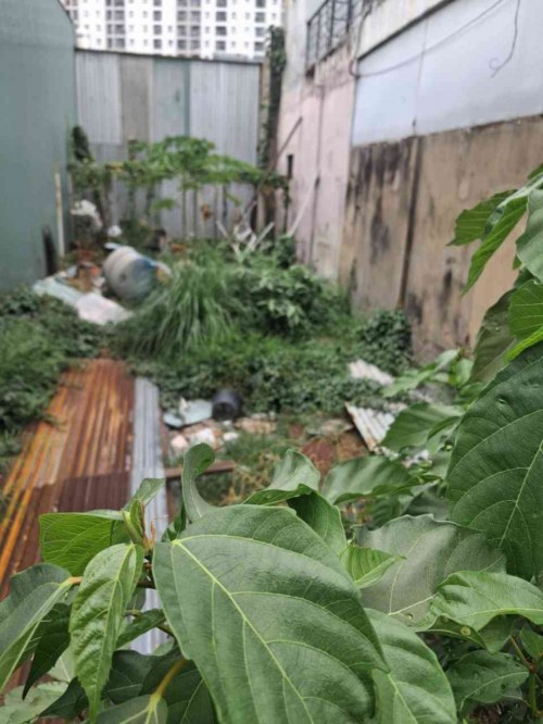 [DP140*] Bán Đất mặt tiền Tân Thới Nhất 13 gần Chợ Lạc Quang 8.x Tỷ