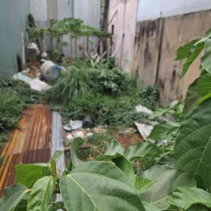 [DP140*] Bán Đất mặt tiền Tân Thới Nhất 13 gần Chợ Lạc Quang 8.x Tỷ