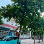 [DP144*] Bán Nhà MT Chợ Lạc Quang 4x16m 7.x Tỷ