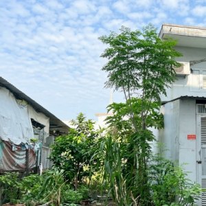[L3037*] Đất Sẵn GPXD 1 Hầm 5 tầng gần Chợ Thạch Đà, 7.x Tỷ