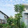 [L3037*] Đất Sẵn GPXD 1 Hầm 5 tầng gần Chợ Thạch Đà, 7.x Tỷ