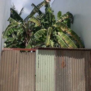 [DD173*] nền đất đẹp 1/ Vườn Lài APĐ, 5 phút qua Gò Vấp, 6.x tỷ