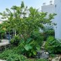 [DD181*] Đất SHR 2 mặt tiền Hẻm Ô Tô An Phú Đông Q12, 3.x Tỷ