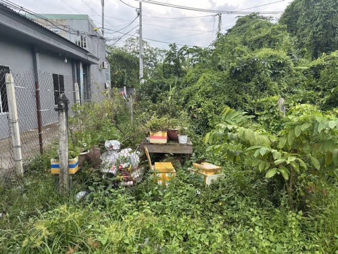 [DP180*] đất đẹp sát QL1A An Phú Đông Q12, 8.x tỷ