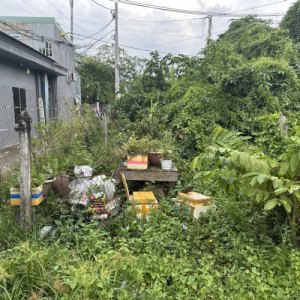 [DP180*] đất đẹp sát QL1A An Phú Đông Q12, 8.x tỷ