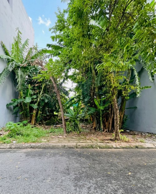 [L3096] ĐẤT HIỆP BÌNH N.hậu 5.5M - sát VẠN PHÚC CITY (5.x TỶ)