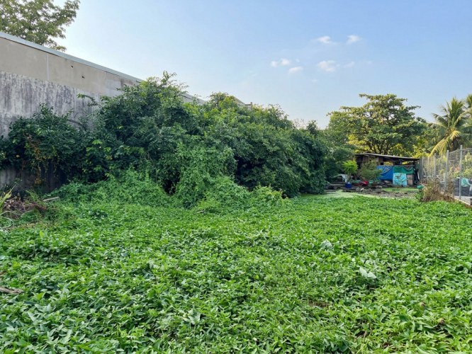 [D3127*] giảm sâu, đất đất vuông vức 656m2 (15x44m) 1/ QL1A cạnh Chợ Nông Sản, 39.x tỷ
