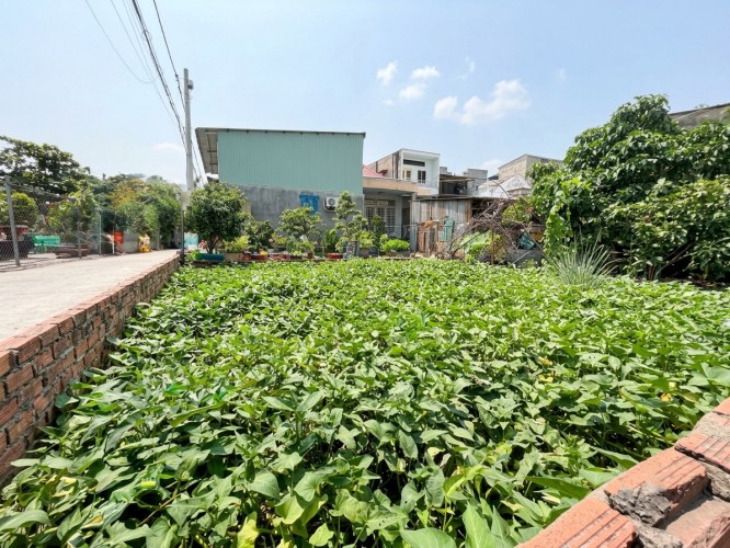 [O3126*] Đất lô góc Hẻm Ôtô 150m2 (10x15m) cạnh Chợ Đầu Mối QL1A, giá tốt 11.x tỷ