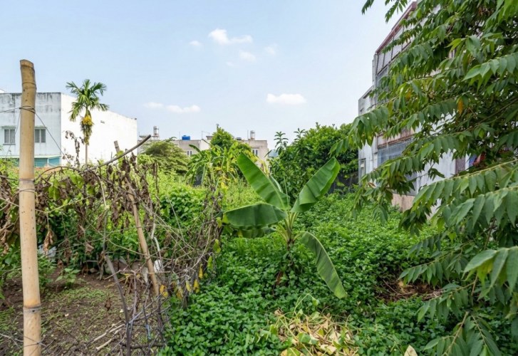 [KH207*] Đất giá rẻ Hẻm Ôtô vuông A4 Thạnh Lộc 29 Nhỉnh 4.x tỷ (X nhỏ)